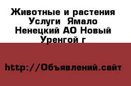 Животные и растения Услуги. Ямало-Ненецкий АО,Новый Уренгой г.